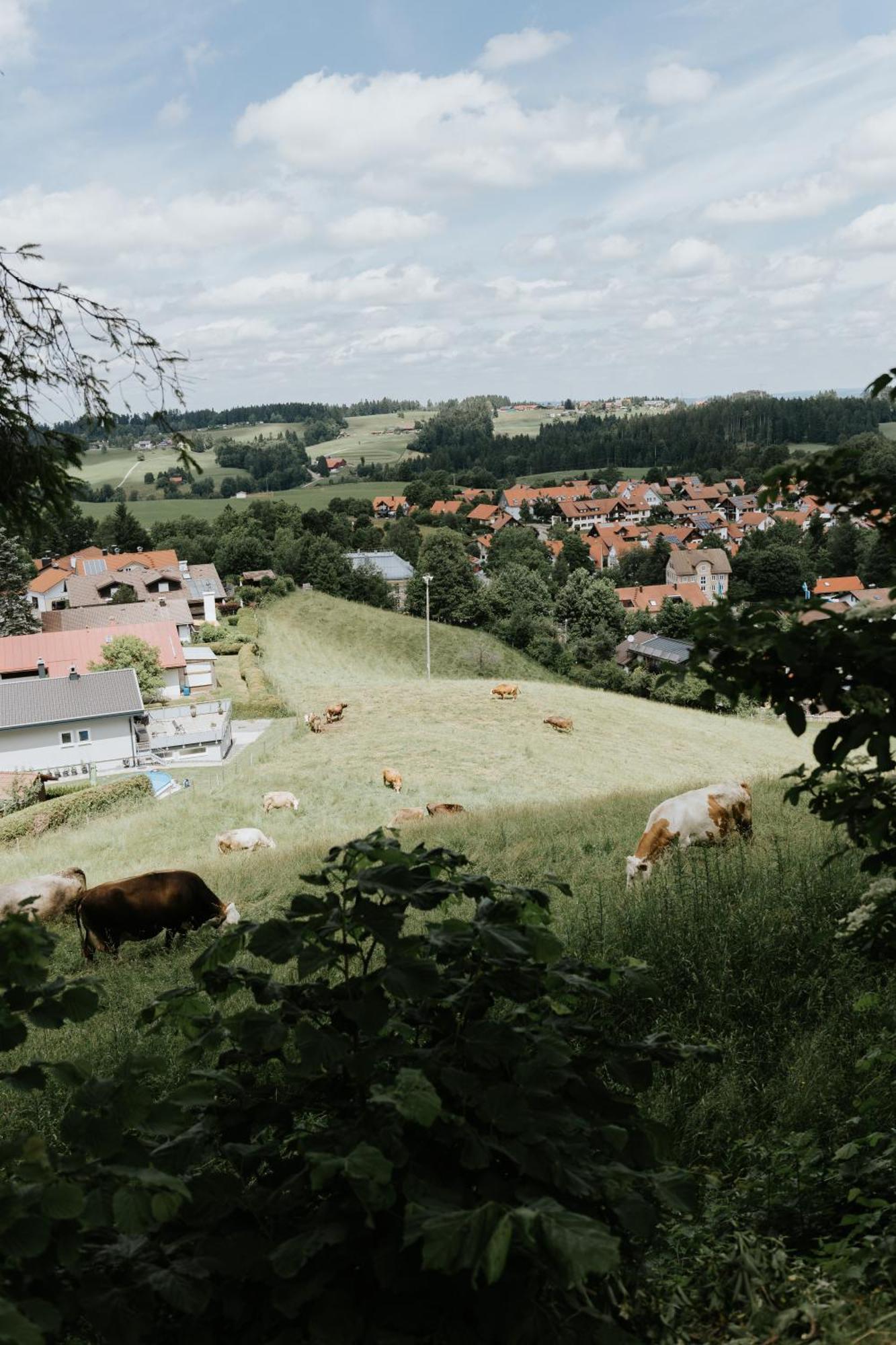 Heimatel - Ferienhaus Prinz-Lui Scheidegg Exterior foto